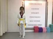 虎扑网-跆拳道小组赛，岭北铁骑队与瓯越海豚队翻盘，阵地战处理得当！团队防守值得称道的简单介绍